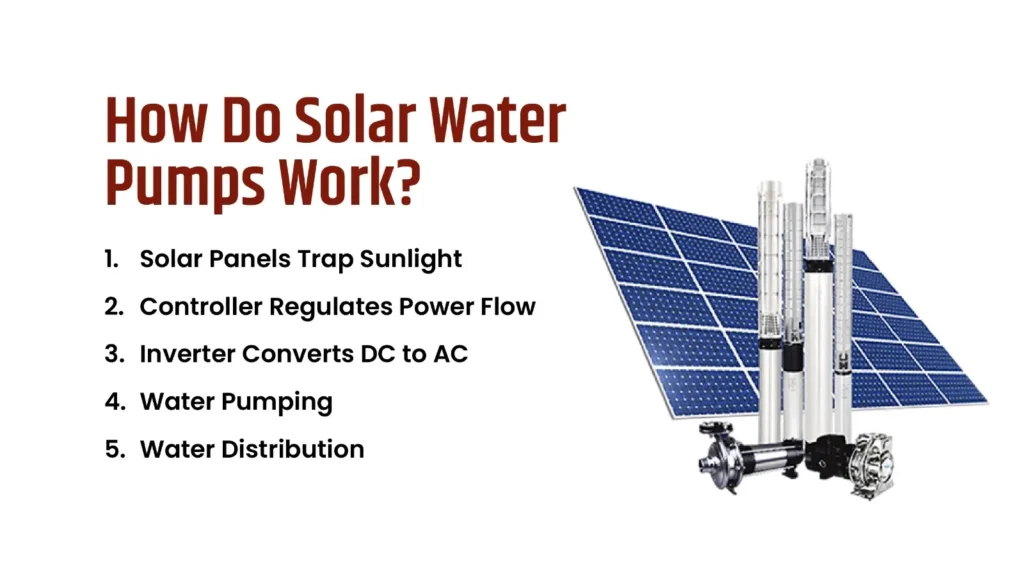 Solar Water Pump